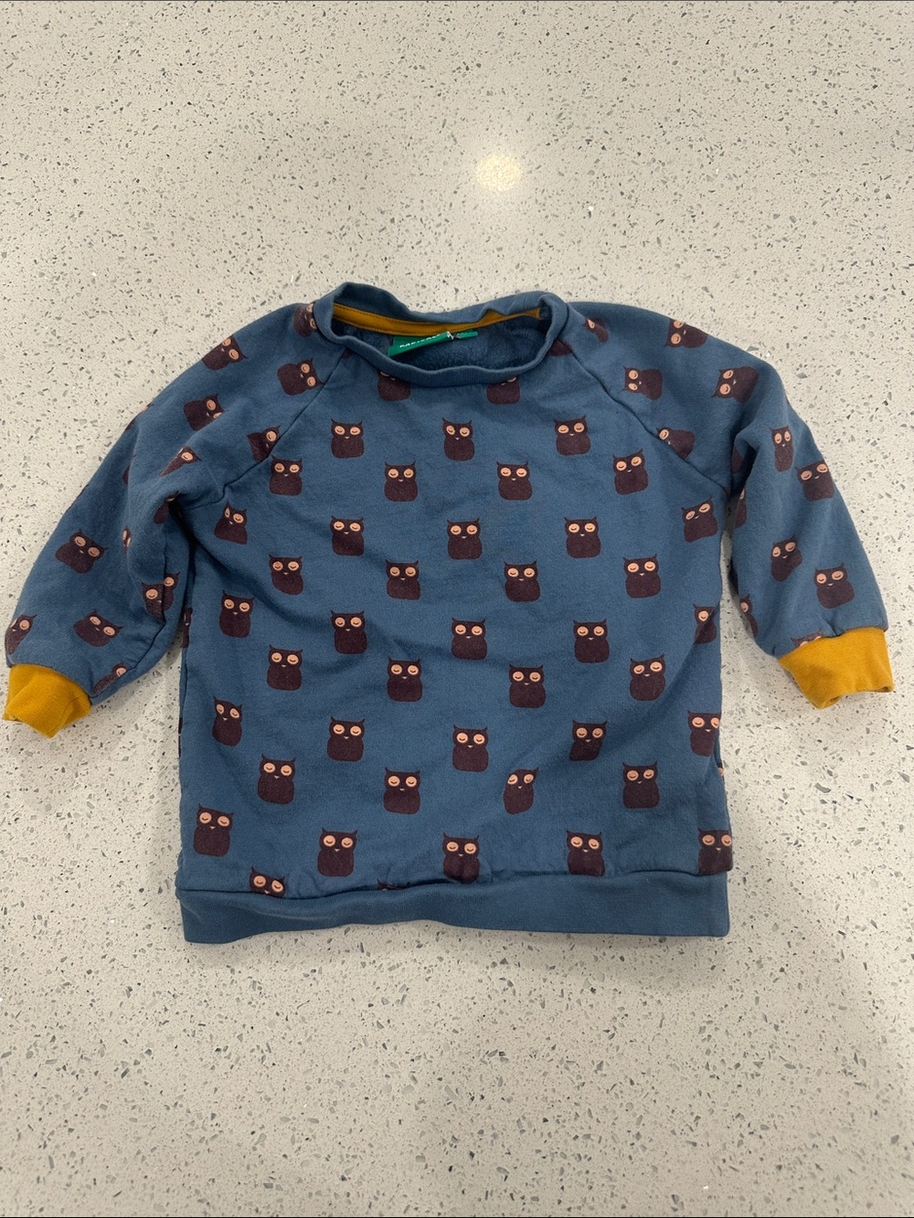 Little Green Radicals Blue Owl Sweatshirt with Mustard Cuffs